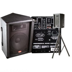 Stagg MPAS 80/10-230 aktiver 80 W Monitor mit 1x 10 Zoll /8 Ohm Lautsprecher und Hochtöner-Horn