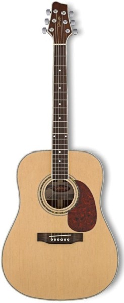 Stagg SW209-NS Akustische Dreadnought Gitarre