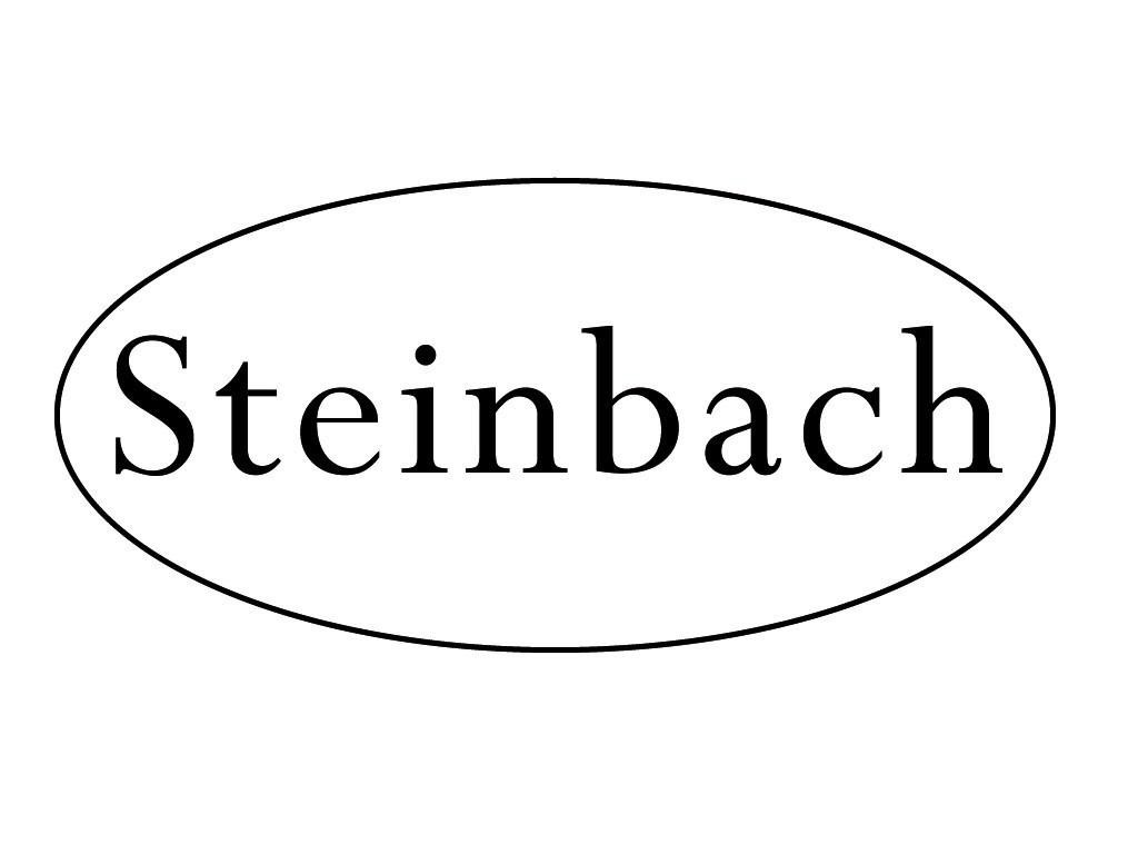 Steinbach Concertina in grün 2 x 10 Diskantknöpfe 20 Diatonische Töne 