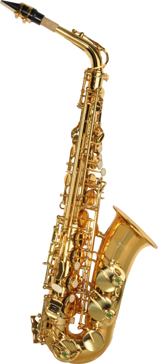 Gewa Saugwischer Alt Saxophon 