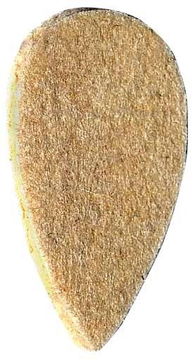 Gewa Plektrum Filz