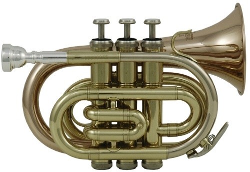 Bb-Taschentrompete Roy Benson Goldmessing PT-101G im leichtem Rechtecketui