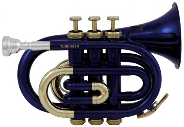 Bb-Taschentrompete Roy Benson in blau lackiert PT-101B im leichtem Rechtecketui