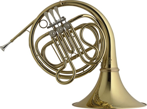 Stagg F-Waldhorn im Koffer