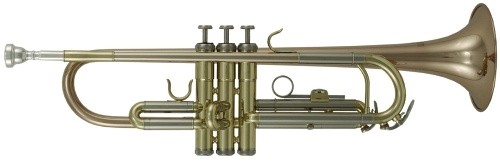 Roy Benson Trompete TR-202G Student Series