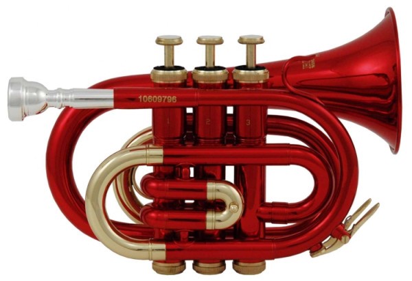 Bb-Taschentrompete Roy Benson in rot PT-101R im leichtem Rechtecketui