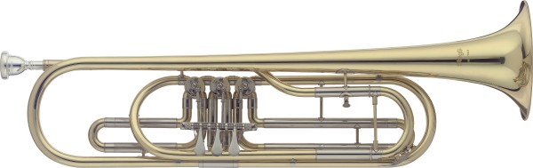Stagg 77-TBR B-Basstrompete 3 Drehventile im Koffer