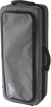 Roy Benson Altsaxophon Bronze Korpus in Messing lackiert AS-202G