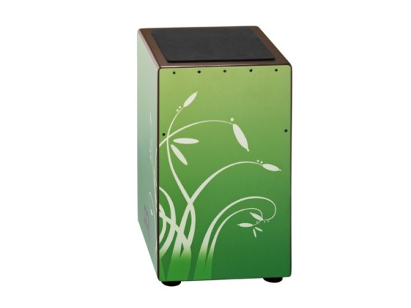 Meinl String Designer Cajon CAJ3WAF Willow Art Finish