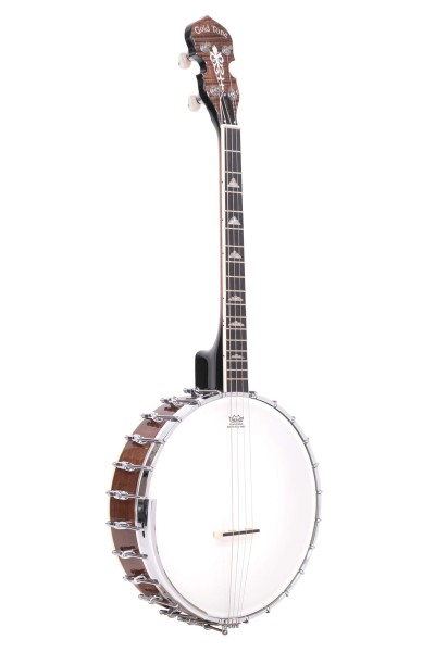 Gold Tone IT-250 Irish Tenor Banjo
