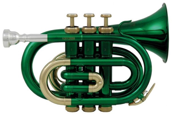 Bb-Taschentrompete Roy Benson in grün lackiert PT-101E im leichtem Rechtecketui