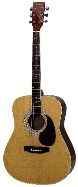 Tenson 4/4 Westerngitarre Dreadnought in natur mit Fichtendecke D10 ABVERKAUF