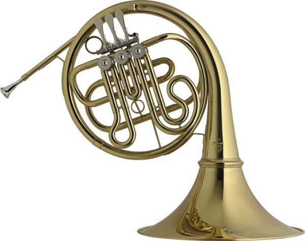 Stagg 77-FHB B-Waldhorn im Koffer