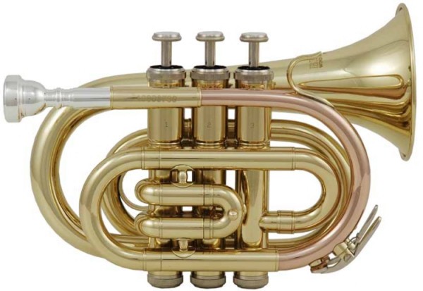 Bb-Taschentrompete Roy Benson PT-101 im leichtem Rechtecketui