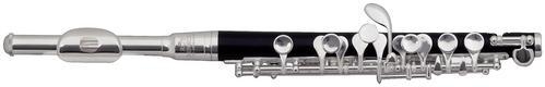 Piccoloflöte / Instrument Family - FLUTE FACTS - Tonhöhe und klang gehen in richtung piccoloflöte, sind also nichts für empfindliche ohren.